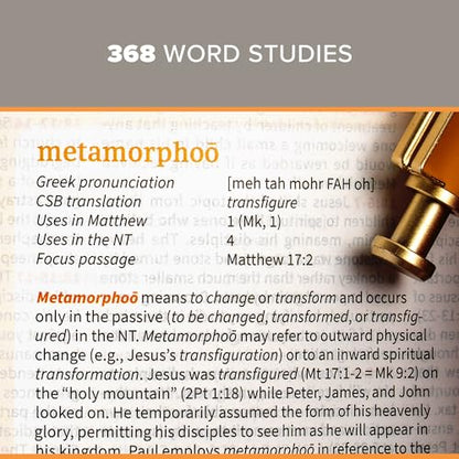 CSB Study Bible, Brown Genuine Leather, Red Letter, Study Notes and Commentary, Illustrations, Articles, Word Studies, Outlines, Timelines, Easy-to-Read Bible Serif Type