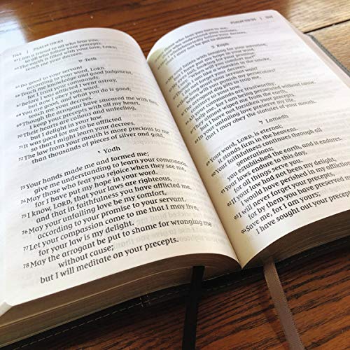 NIV, Giant Print Compact Bible, Leathersoft, Black, Red Letter, Comfort Print