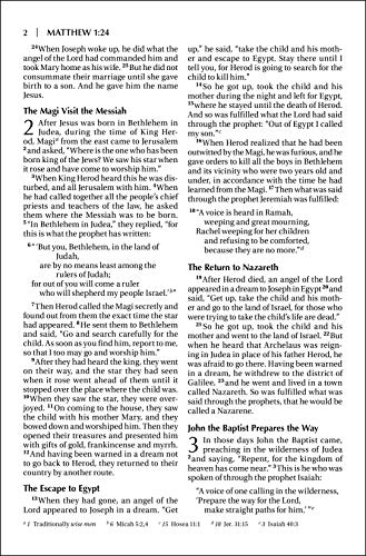 NIV, Outreach New Testament, Large Print, Paperback