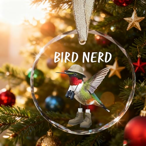 Funny Bird Watching Gifts - Hummingbird Sun Catchers Indoor Window, Humming Bird Suncatchers for Windows Hanging, Unique Cool Briding Gift for Mothers Day, House Warming Gifts New Apartment - color: Blgs013