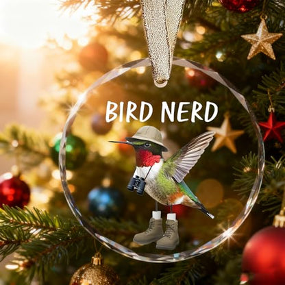 Funny Bird Watching Gifts - Hummingbird Sun Catchers Indoor Window, Humming Bird Suncatchers for Windows Hanging, Unique Cool Briding Gift for Mothers Day, House Warming Gifts New Apartment - color: Blgs013