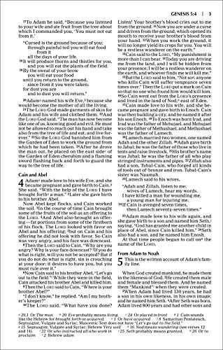 NIV, Value Outreach Bible, Paperback: (Perfect for Church Newcomers, Ministry Gifts, and Events)