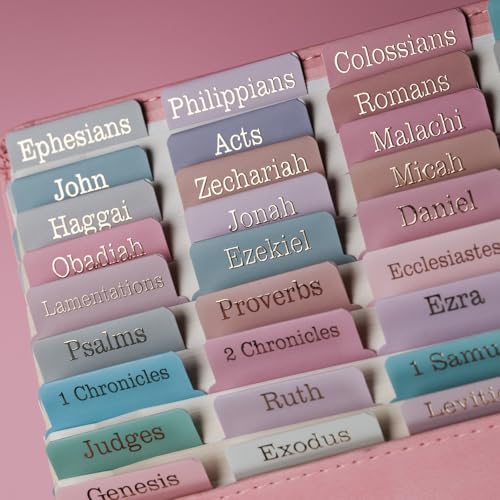 UPAFEXXI-Laminated Bible Tabs with Book Summaries - color: Summaries Morandi