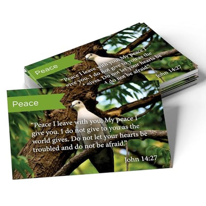Logos Trading Post John 14:27 Pass It On Scripture Cards, Pack of 25 - color: John 14:27