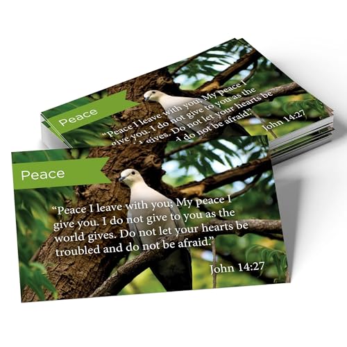 Logos Trading Post John 14:27 Pass It On Scripture Cards, Pack of 25 - color: John 14:27