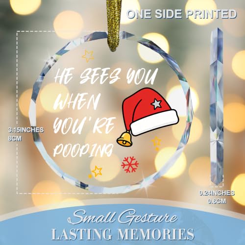 Funny Christmas Bathroom Glass Hanging Ornament Sign - style: Santa Hat