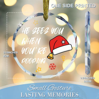 Funny Christmas Bathroom Glass Hanging Ornament Sign - style: Santa Hat