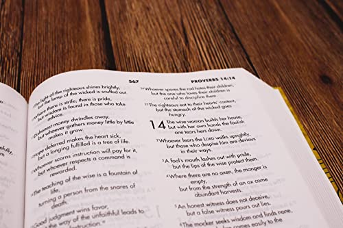 NIV, Textbook Bible for Students, Hardcover, Crinkled Paper with Doodles Design: Great for Christian Education at Home and School