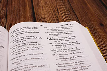 NIV, Textbook Bible for Students, Hardcover, Crinkled Paper with Doodles Design: Great for Christian Education at Home and School