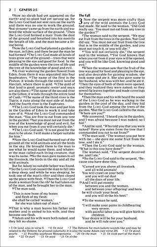 NIV, Value Outreach Bible, Paperback: (Perfect for Church Newcomers, Ministry Gifts, and Events)