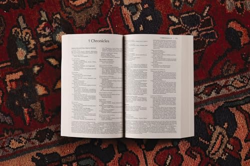NIV, Bread of Life Outreach Bible, Paperback