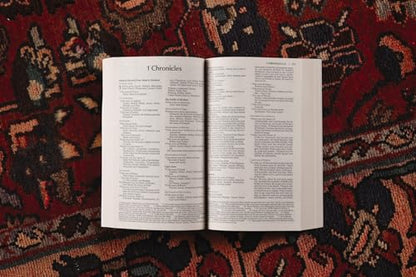 NIV, Bread of Life Outreach Bible, Paperback