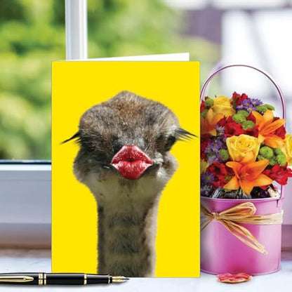 NobleWorks 1 Funny Get Well Card for Women Wild Kisses Ostrich Lips Humor Notecard with Envelope C9280GGWG - style: Wild Kisses - Ostrich