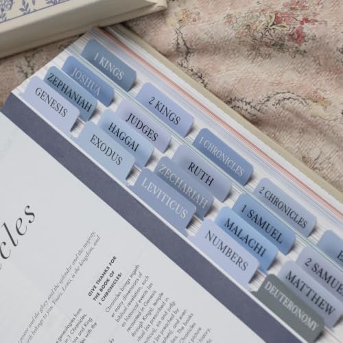 UPAFEXXI-Laminated Bible Tabs with Book Summaries, Bible Study Supplies - color: Summaries Blue2