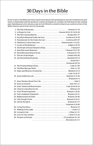 NIV, Economy Bible, Paperback: Affordable for Outreach, Church Ministry, and Bulk Distribution