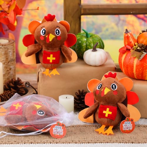 Blueweenly 16 Pack Summer Mini Plush Turtles with Cards Set Luau Ocean Party Favors Small Stuffed Animals Sea Plush Toys Gifts for Birthday Hawaii Beach Ocean Party Favors (Turkey)