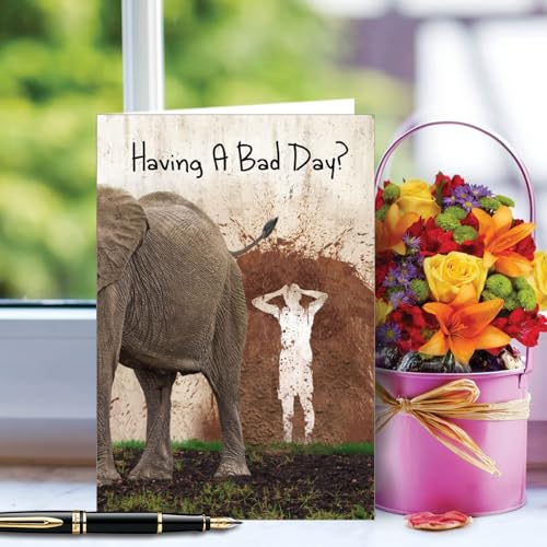 NobleWorks Funny Get Well Cards After Surgery 1 Get Well Card with Envelope Wildlife Toilet Humor Joke, Funny Thinking of You Notecard Could Be Worse for Animal Lovers C9361GWG - style: Could Be Worse
