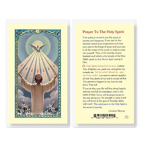 Artisan Owl Prayer to the Holy Spirit Holy Cards (Set of 5)