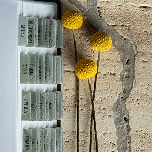 DiverseBee Laminated Bible Tabs for Women and Men (Sage Theme) - color: Sage