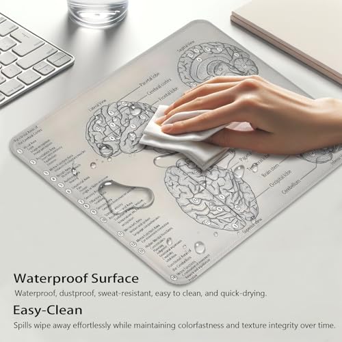 Biology Diagram of Human Brain Anatomy Mouse Pad, Science Durable Desk Mat - color: Brain Illustration