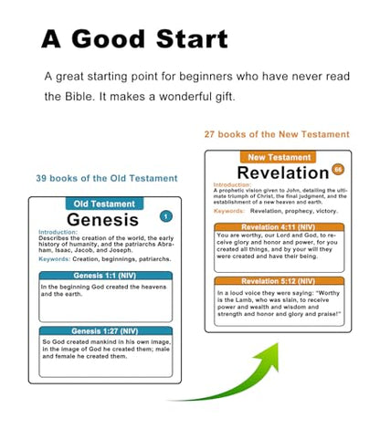 Bible 66 Books Flash Cards: 330 Popular Verses & Essential Information About Each Book