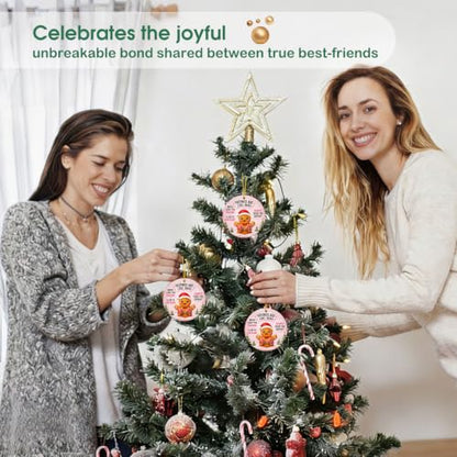 FaCraft Funny Friendship Gifts for Women Bestie Friends Christmas Ornament - color: 1-13 Friendship