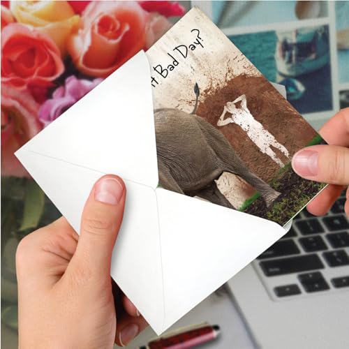 NobleWorks Funny Get Well Cards After Surgery 1 Get Well Card with Envelope Wildlife Toilet Humor Joke, Funny Thinking of You Notecard Could Be Worse for Animal Lovers C9361GWG - style: Could Be Worse