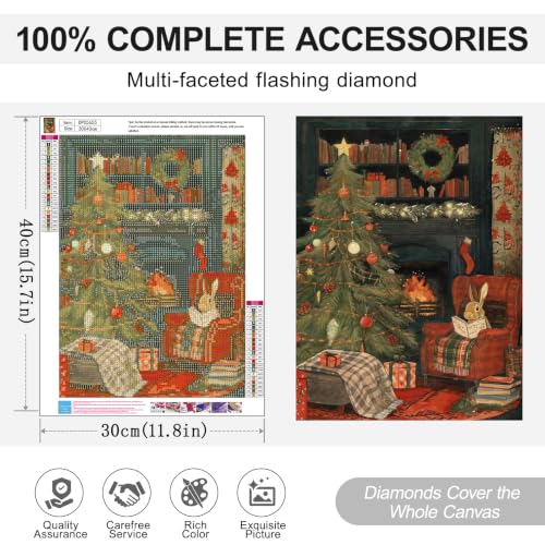 Christmas Diamond Art Kits for Adults, Diamond Painting Kits for Beginner - color: DP05655