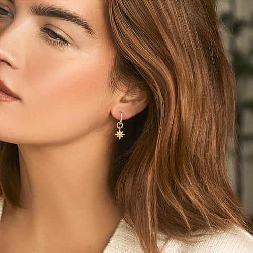 DAILY VIBES Cute Butterfly Star Cross Heart CZ Dangle Earrings for Women - color: Gold North Star CZ