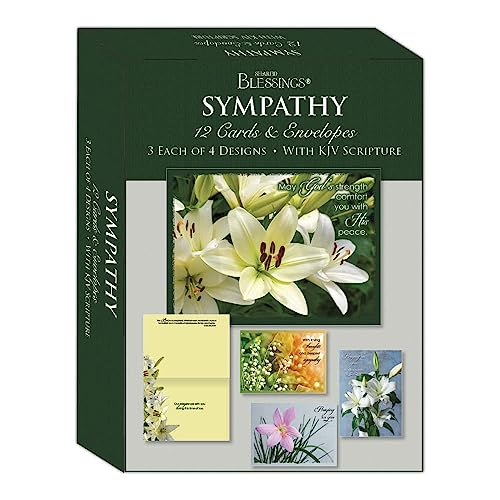 All Occasion Greeting Card Bundle, 48 Count, KJV Scripture - color: Bundle 2