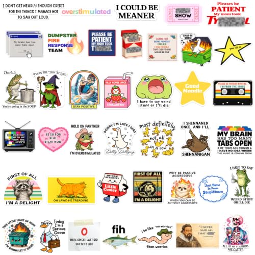 NEW 2026 Funny Stickers Pack 120PC Bulk Set Cute Cool Novelty Meme Decals Waterproof Vinyl Stickers for Laptop Water Bottle Phone Luggage Scrapbook Journal Accessories Decorative for Men Women Adults - style: Funny
