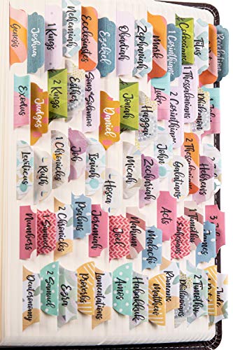 DiverseBee Laminated Bible Tabs for Women and Men (Diverse Theme) - color: Diverse