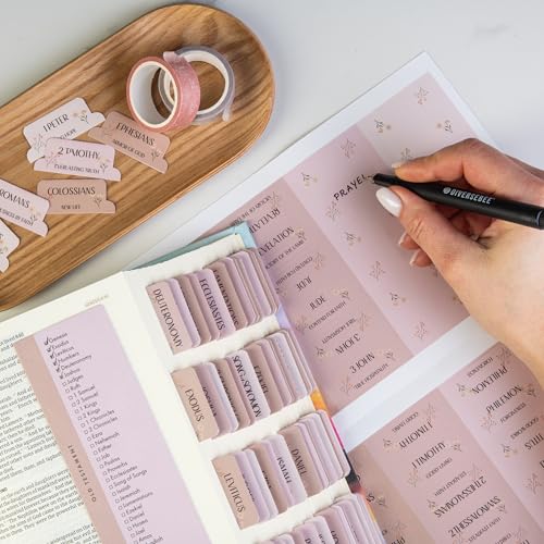 DiverseBee Laminated Bible Tabs with Book Summaries (Canon Theme) - color: Canon