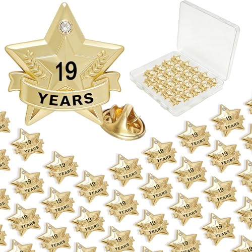 Years of Service Pins, Gold Star Pin for 1-30 Year Work Anniversary, Long Standing Employee Recognition Award Star Pins for Staff, Team & Volunteers - style: 19 Years