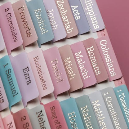 UPAFEXXI-Laminated Bible Tabs with Book Summaries - color: Summaries Morandi