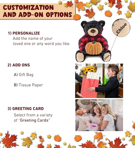 DolliBu Red Plaid Hoodie Black Bear Stuffed Animal with Pumpkin - 10 Inches