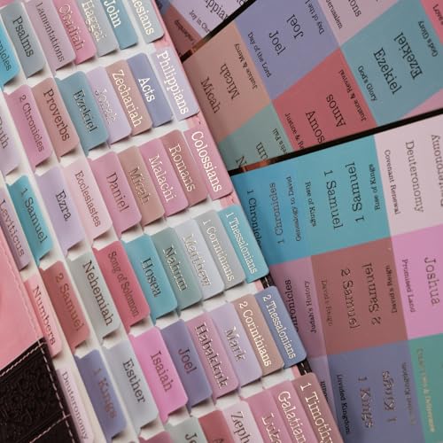 UPAFEXXI-Laminated Bible Tabs with Book Summaries - color: Summaries Morandi