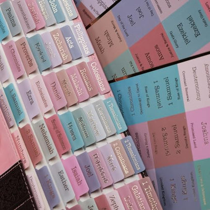 UPAFEXXI-Laminated Bible Tabs with Book Summaries - color: Summaries Morandi