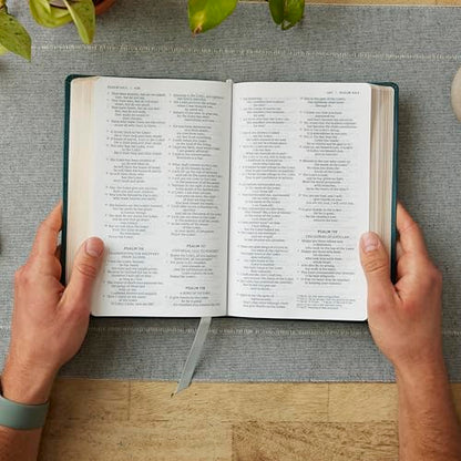 NRSV Catholic Edition Gift Bible, Teal Leathersoft (Comfort Print, Holy Bible, Complete Catholic Bible, NRSV CE): Holy Bible