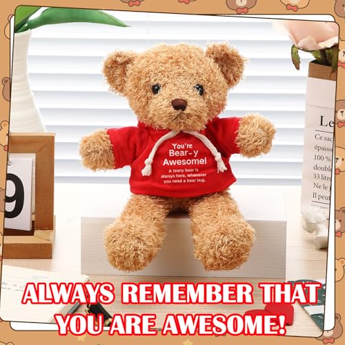Hollowfly 9.84 Inch Christmas Teddy Bear Stuffed with Positive Messages Cute Red Hoodie Bear Playthings Gifts for Women Men Coworker Birthday Positive Creative Decor - size: 9.84 Inch, style: Clothes-up Bear