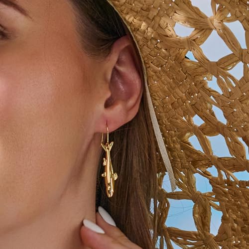 Gold Silver Hoop Earrings for Women - color: gold D