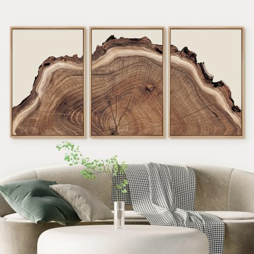 SIKERIC Framed Nature Tree Ring Wall Art, (24X36 inch) Modern Wood Stump Canvas Wall Art Set Of 3,Large Wood Tree Spiral Art Prints, Abstract Wall Painting for Living Room, Bedroom, Office - color: Nature Tree Ring, size: 24"L x 36"W