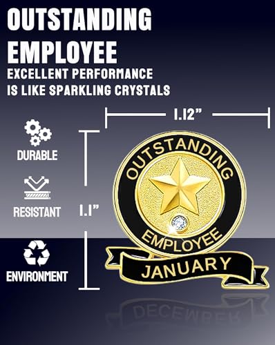 24 Pack Employee of the Month Lapel Pins - Recognition Excellence Service Appreciation Awards for Team Staff - Perfect for Employee of the Month Board