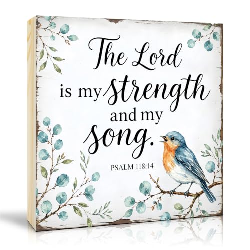 TOUNER The Lord Is My Strength And My Song Wooden Box Sign, Bluebird Wooden Box Sign Decorations for Home Office Bedroom Desk Shelf, Inspirational Bible Verse Gifts for Friends Family Colleague - color: Multicolor083