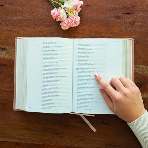 Personalized CSB Bible, Pink, Custom Holy Bible (Flowers Personalized) - style: Flowers Personalized