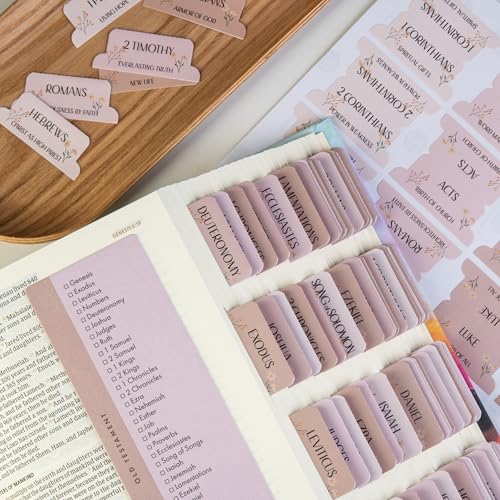 DiverseBee Laminated Bible Tabs with Book Summaries (Canon Theme) - color: Canon