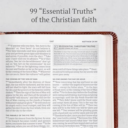 CSB Everyday Study Bible, British Tan LeatherTouch, Black Letter, Study Notes, Illustrations, Aricles, Easy-to-Carry, Easy-to-Read Bible Serif Type