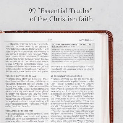 CSB Everyday Study Bible, British Tan LeatherTouch, Black Letter, Study Notes, Illustrations, Aricles, Easy-to-Carry, Easy-to-Read Bible Serif Type
