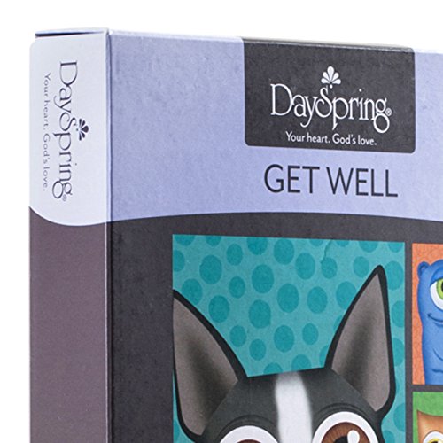 DaySpring Get Well Boxed Greeting Cards w Embossed Envelopes - U-NEEKS, 12 Count
