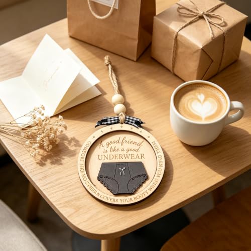 Funny Best Friend Christmas Ornament with Bra & Underwear Pun Design - color: Multi Color